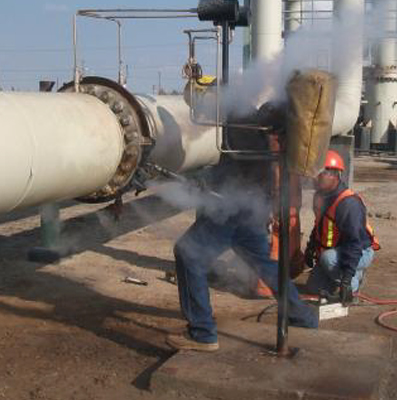 Portfolio Image